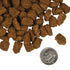 Fromm Four-Star Dry Dog Food - Highlander Beef, Oats, 'N Barley - 12lb Bag